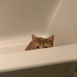 Meet your Posher, Kiso